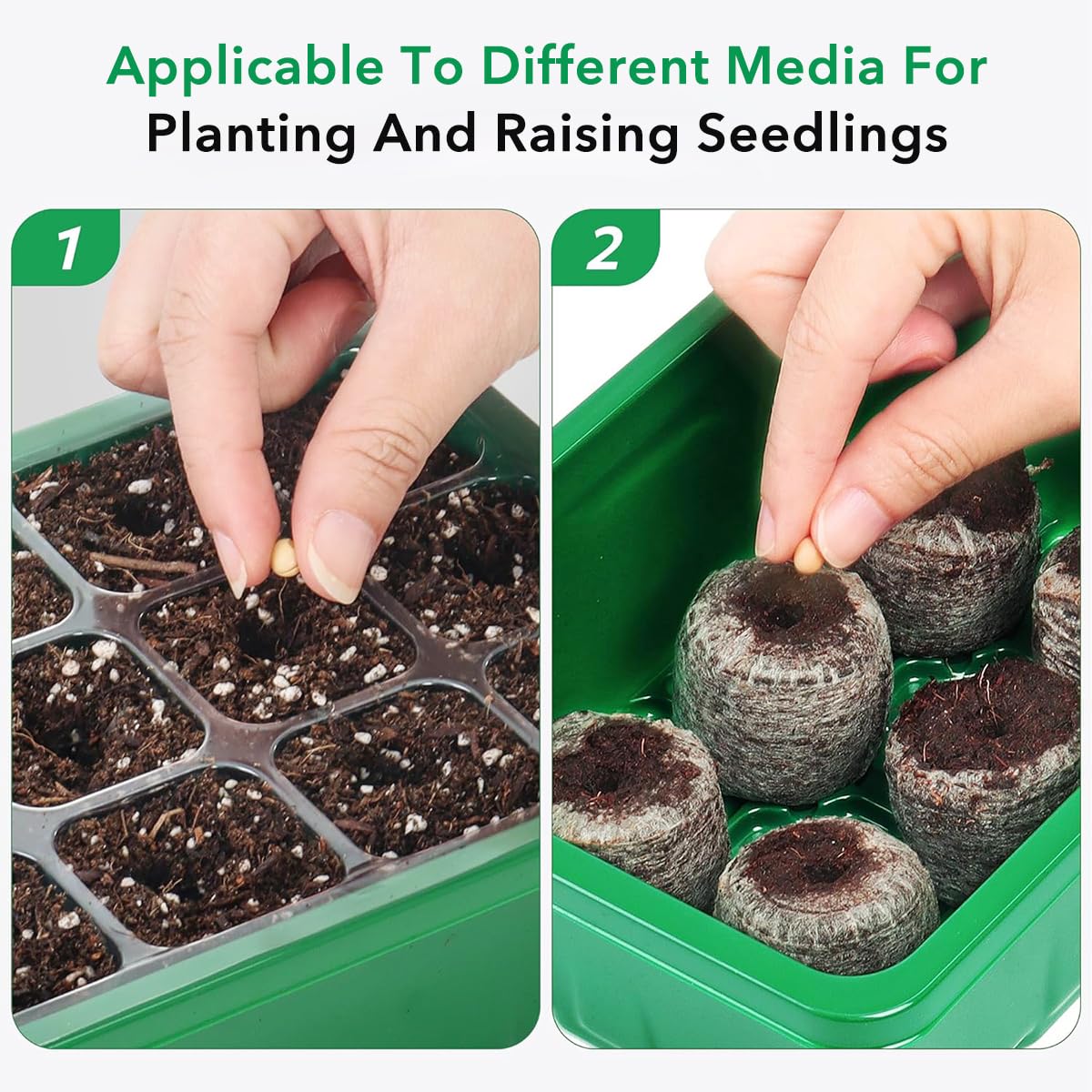 HASTHIP® 5Pcs Seed Starter Tray Kit with 12 Cell Seedling Tray, Labels, Seedling Tools - Seed Starter Tray with Drainage Design - Home Greenhouse Germination Kit - Growing Tray Gardening Tools Kit HASTHIP® 5Pcs Seed Starter Tray Kit with 12 Cell Seedling Tray, Labels, Seedling Tools - Seed Starter Tray with Drainage Design - Home Greenhouse Germination Kit - Growing Tray Gardening Tools Kit